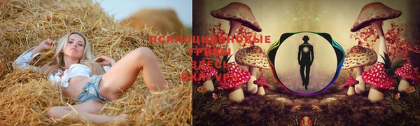 MESCALINE Медвежьегорск