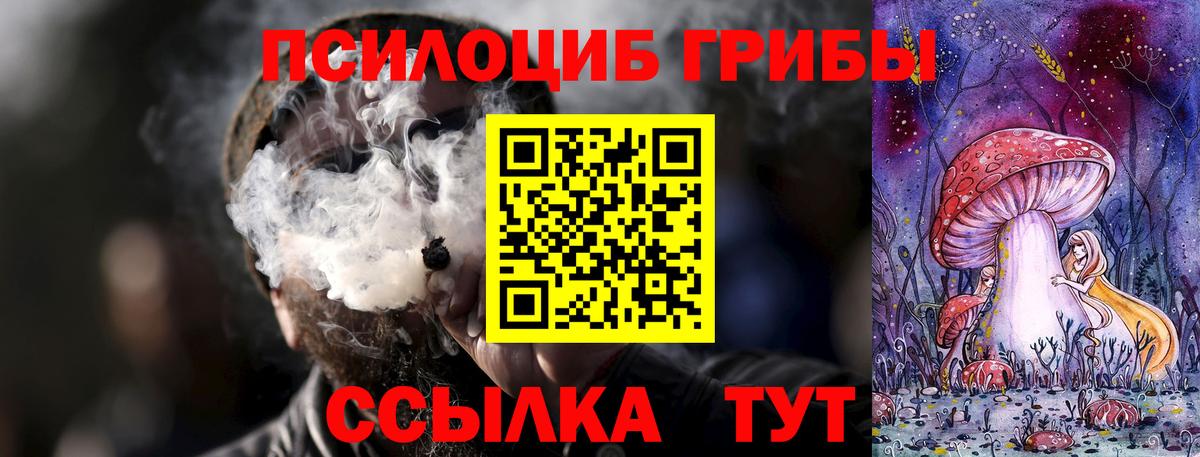 Псилоцибиновые грибы Cubensis  Вход с VPN  Симферополь 
